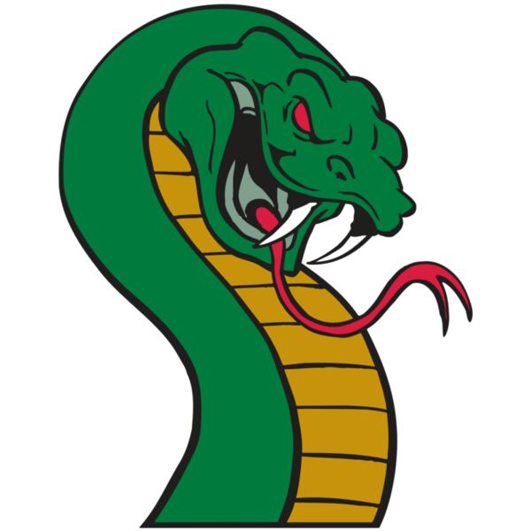 AR SNAKE 12 RC Thumbnail