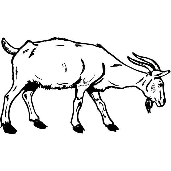 GOAT002 Thumbnail